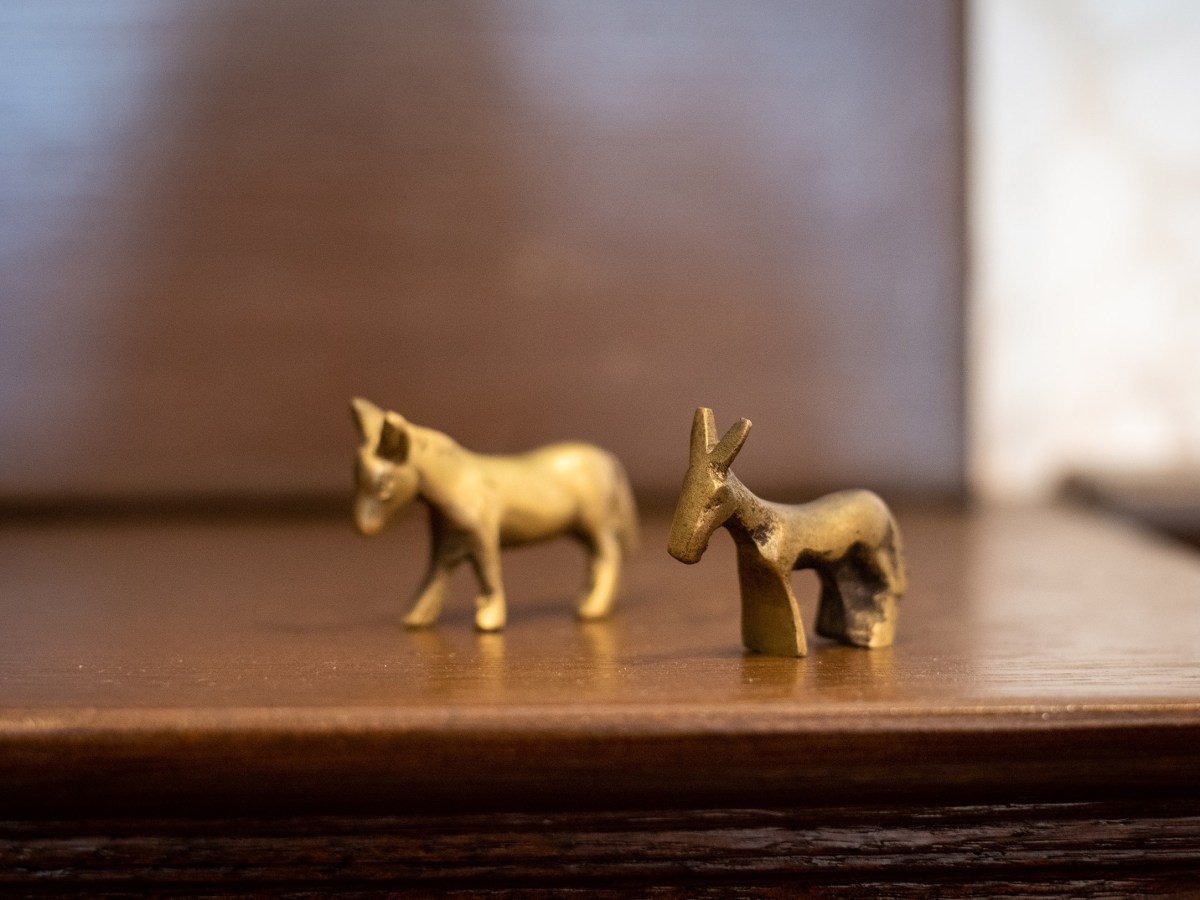 The Internal Fight Roiling North Carolina Democrats