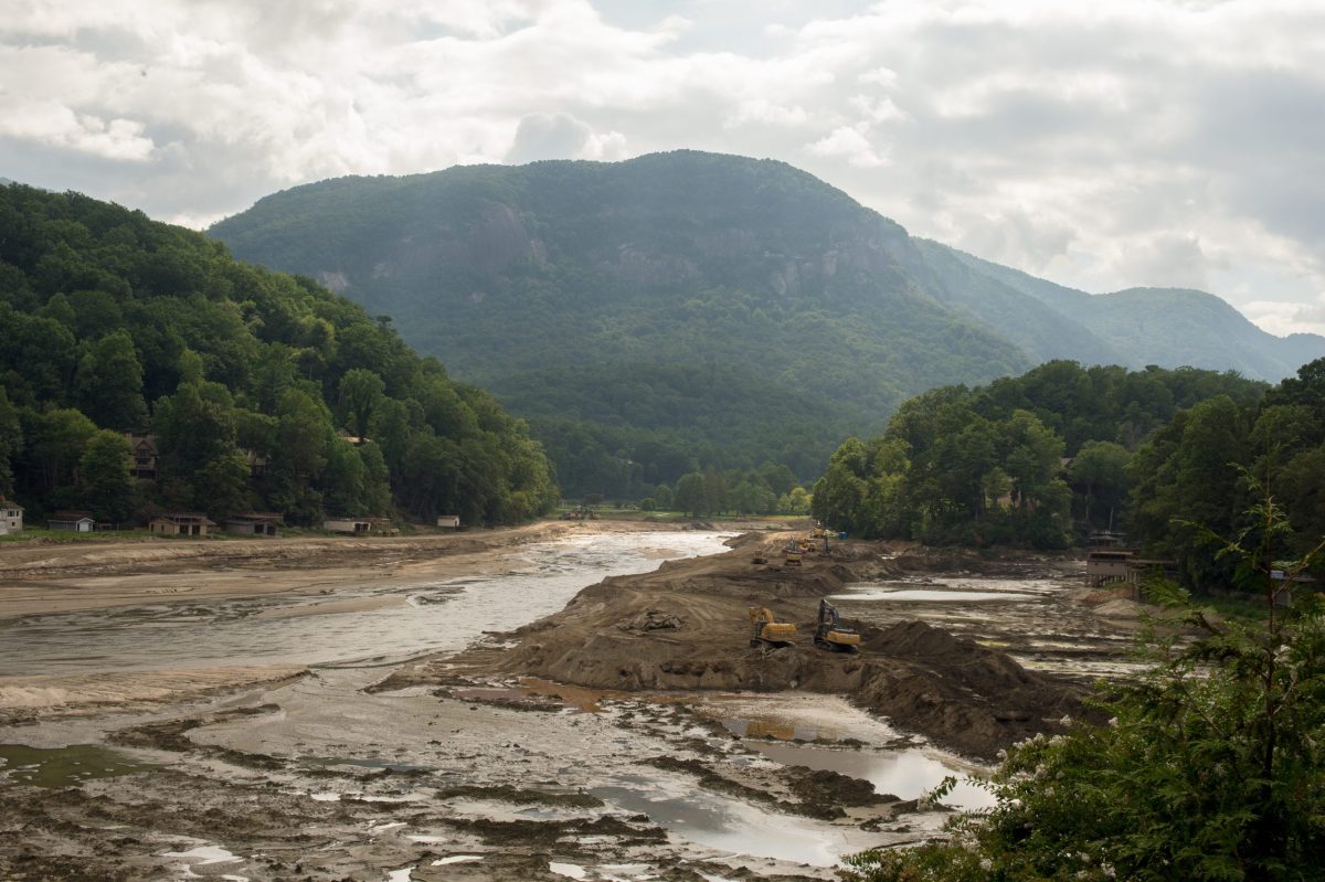 Looking Up in Chimney Rock