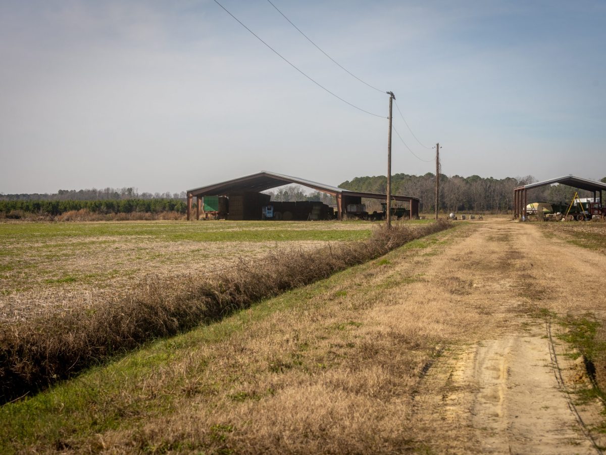 Tobacco’s Second Wind